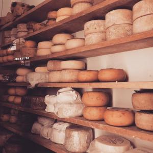 итальянский сыр